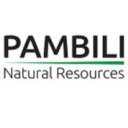 Pambili Natural Resources Aktie