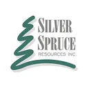 Silver Spruce Resources Delnica