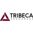 Tribeca Resources Saham