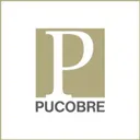 Sociedad Punta del Cobre SA Stock