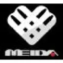 Guangdong Highsun Meida New Materials Co Action