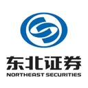 Northeast Securities Co Action