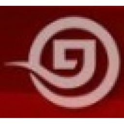 Hunan Investment Group Co Stock