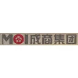 Maoye Commercial Co Aksje
