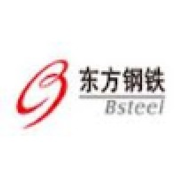 China Northern Rare Earth (Group) High-Tech Co Aktie