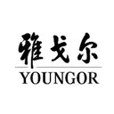 Youngor Fashion Co Action