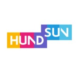 Hundsun Technologies Acción