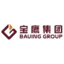 Shenzhen Bauing Construction Holding Group Co Delnica