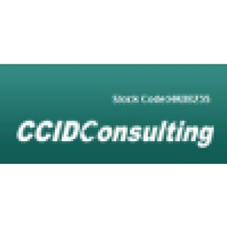 CCID Consulting H Stock