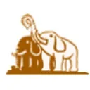 Wuxi Double Elephant Micro Fibre Material Co Action