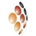 Yunnan Lincang Xinyuan Germanium Industry Co Aksje