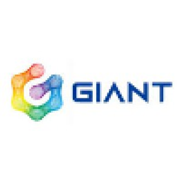 Giant Network Group Co Ltd Stock