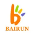 Shanghai Bairun Investment Holding Group Co Stock