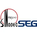 Sinopec Engineering Group Co Action