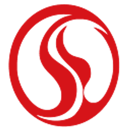 Zhejiang Shengyang Sci A Aktie