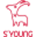SYoung Group A Stock