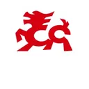 Shandong Gold Phoenix Co Aktie