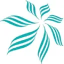Miracll Chemicals Co Action