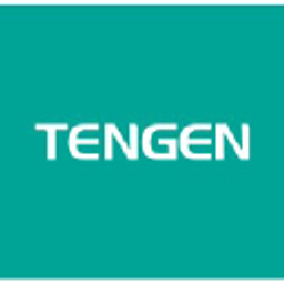 Zhejiang Tengen Electrics A