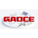 Qingdao Gaoce Technology Co Ação