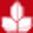 AGROB Immobilien Action