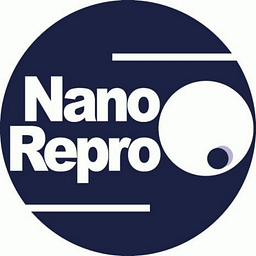 NanoRepro AG Aktie