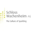 Schloss Wachenheim Stock