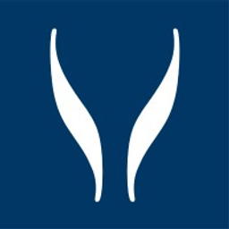 SYNLAB Holdco GmbH Delnica