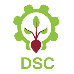 Delta Sugar Company SAE Aksje