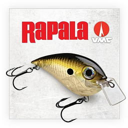 Rapala VMC Oyj Aktie