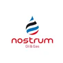 Nostrum Oil & Gas Stock