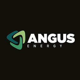 Angus Energy Aktie