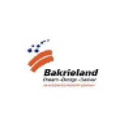 Bakrieland Development Tbk PT Aktie