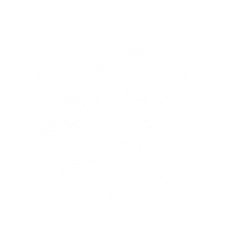 Pollux Hotels Group Tbk PT Aktie