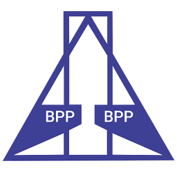 Berdikari Pondasi Perkasa Tbk PT Aktie