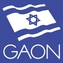 B Gaon Holdings Stock