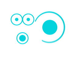 Next Vision Stabilized Systems Stock
