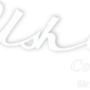 Ushanti Colour Chem Aktie