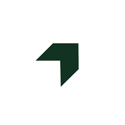Pine Labs Action