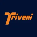Triveni Engineering and Industries Cổ phiếu