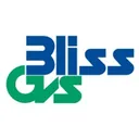 Bliss GVS Pharma Aktie