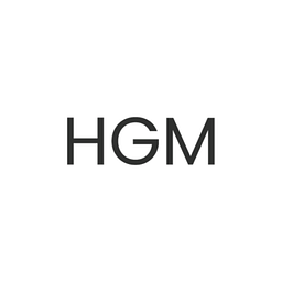 HandsOn Global Management (HGM) Aktie