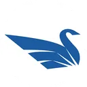 Swan Corp Action