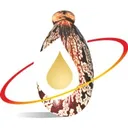 Jayant Agro-Organics Aktie
