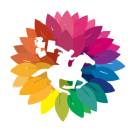 Rajnish Retail Aktie