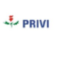 Privi Speciality Chemicals Stock