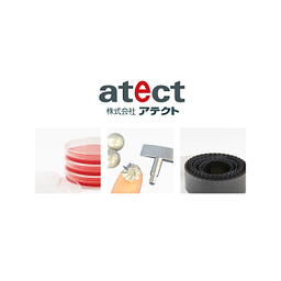 Atect Stock