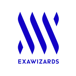 ExaWizards Acción