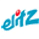 Elitz Holdings Co Action