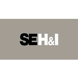 SE Holdings and Incubations Co Aksje